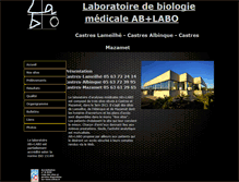 Tablet Screenshot of abpluslabo.com